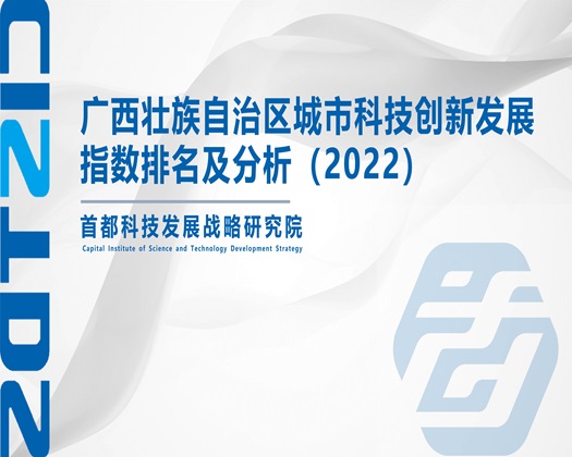 日逼网站啊啊啊啊啊啊啊啊【成果发布】广西壮族自治区城市科技创新发展指数排名及分析（2022）